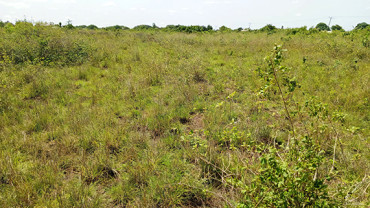 21 acres of affordable land in Shai Hills