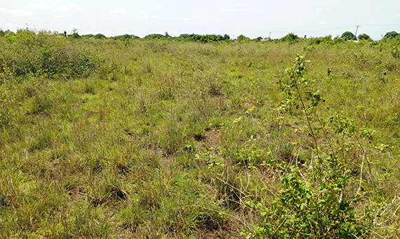 21 acres of affordable land in Shai Hills