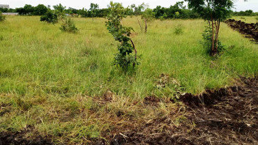 5 plots of titled land in Dodowa