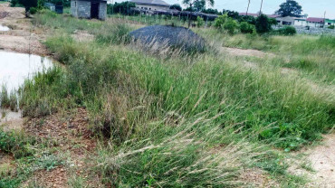 2 plots of land at lashibi